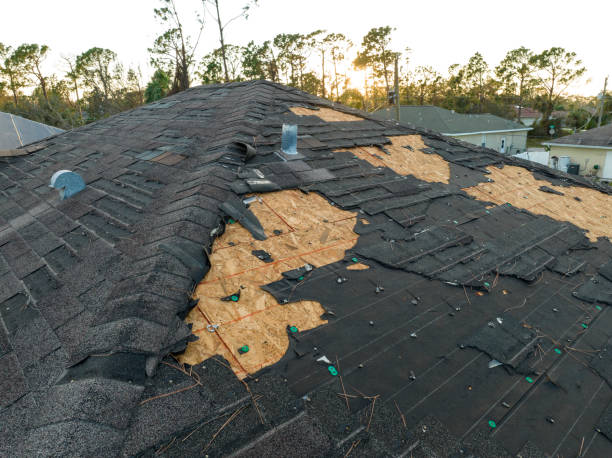 Best Gutter Replacement  in Kingston, NJ