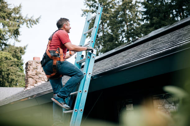 Best Chimney Flashing Repair  in Kingston, NJ